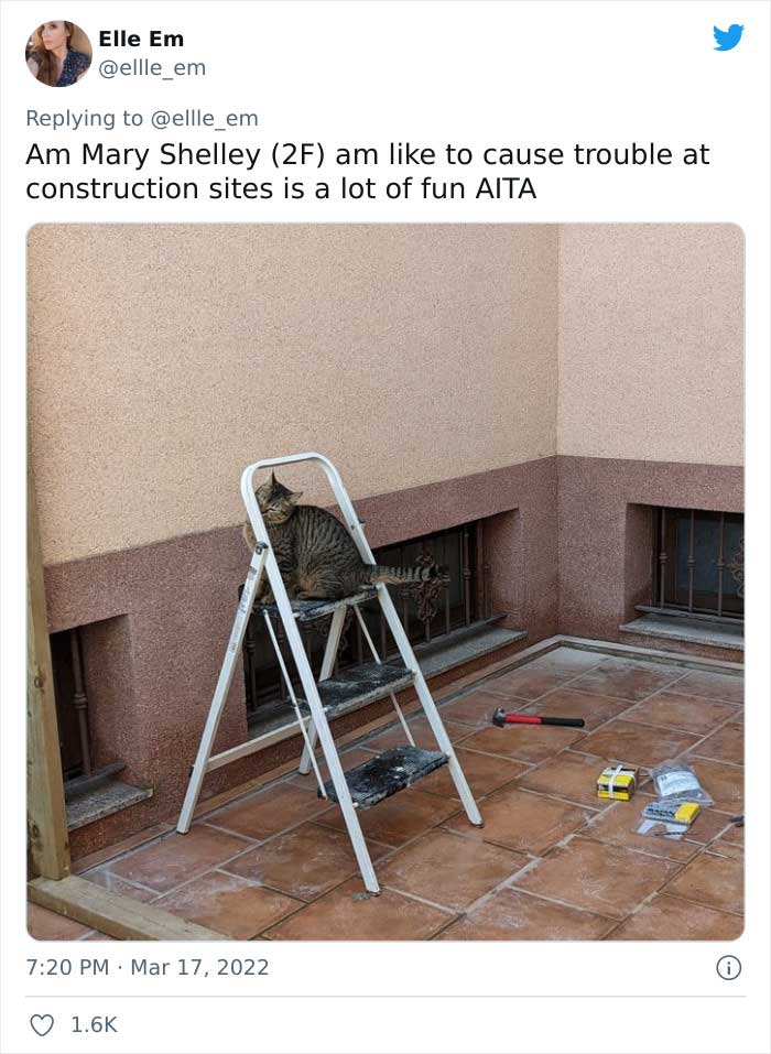 Aita-Cats-Twitter-Thread