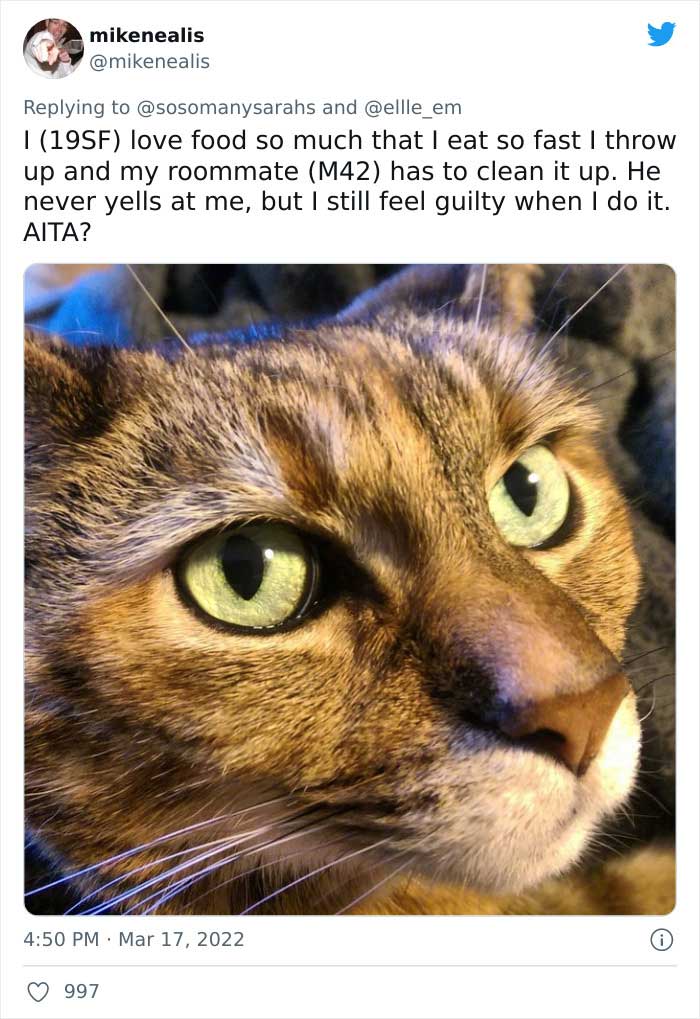 Aita-Cats-Twitter-Thread