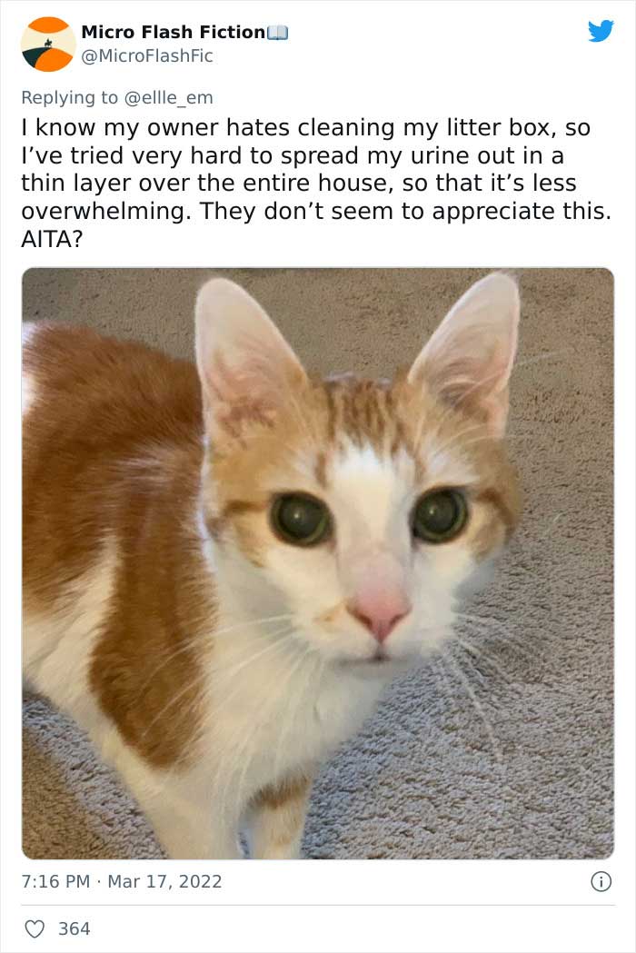 Aita-Cats-Twitter-Thread