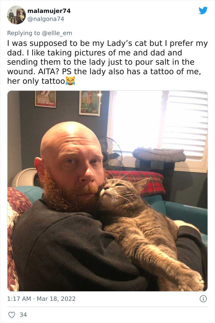 Aita-Cats-Twitter-Thread