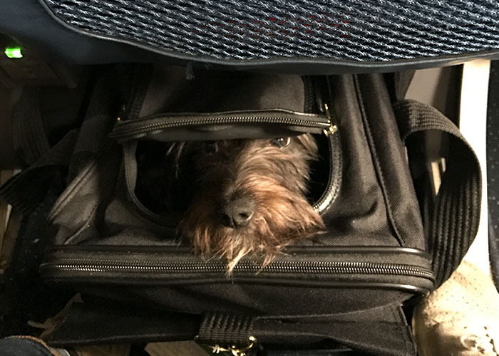 People Who Work In The Airline Industry Share 30 Things Everyone Should Know About Flying