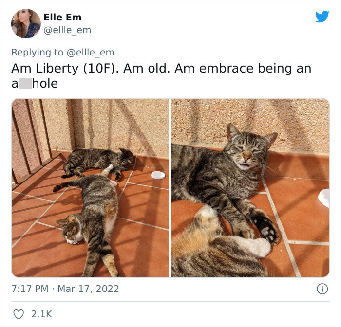 Aita-Cats-Twitter-Thread