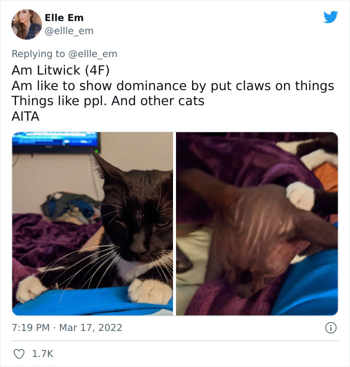 Aita-Cats-Twitter-Thread