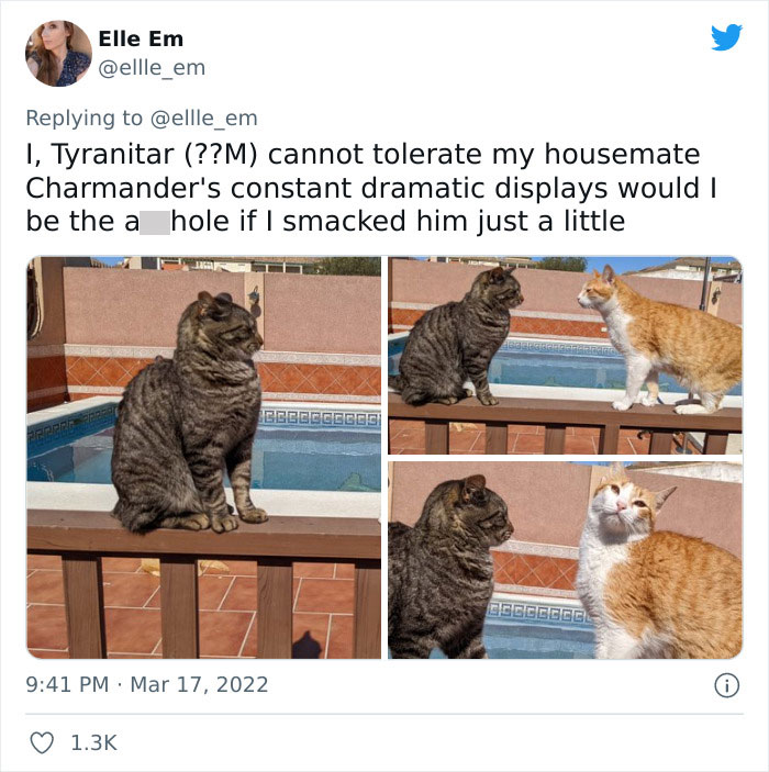 Aita-Cats-Twitter-Thread