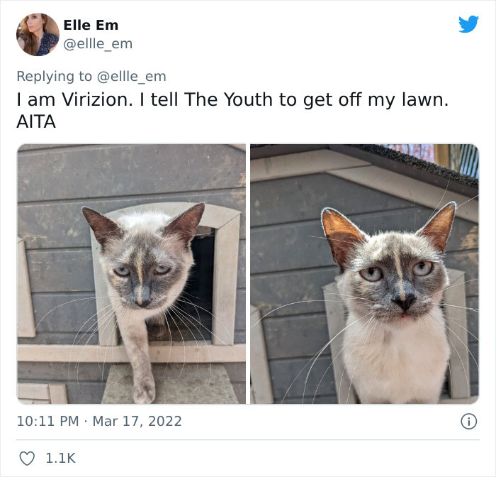 Aita-Cats-Twitter-Thread