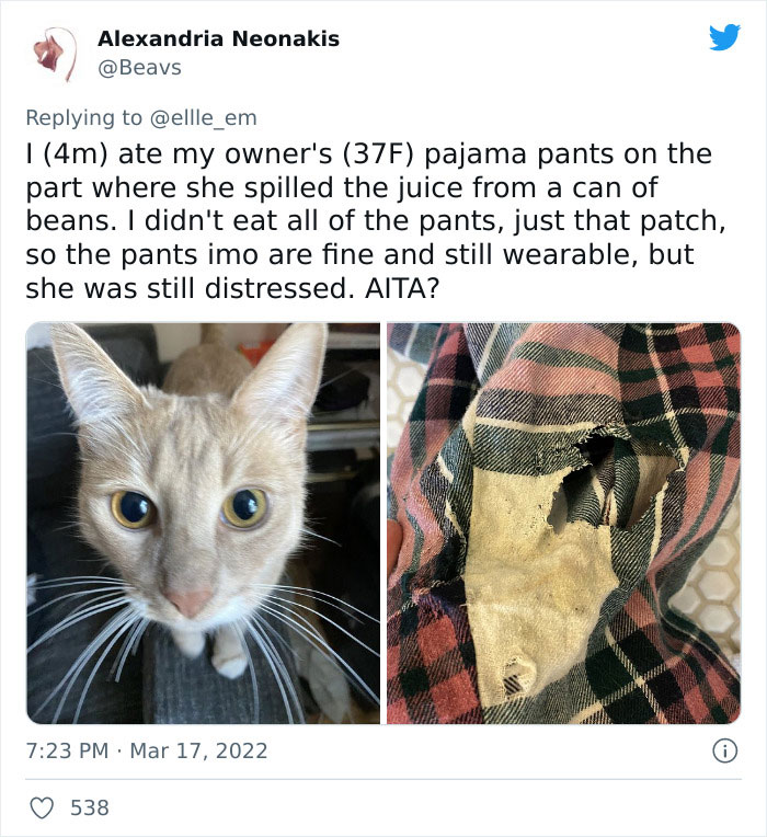 Aita-Cats-Twitter-Thread