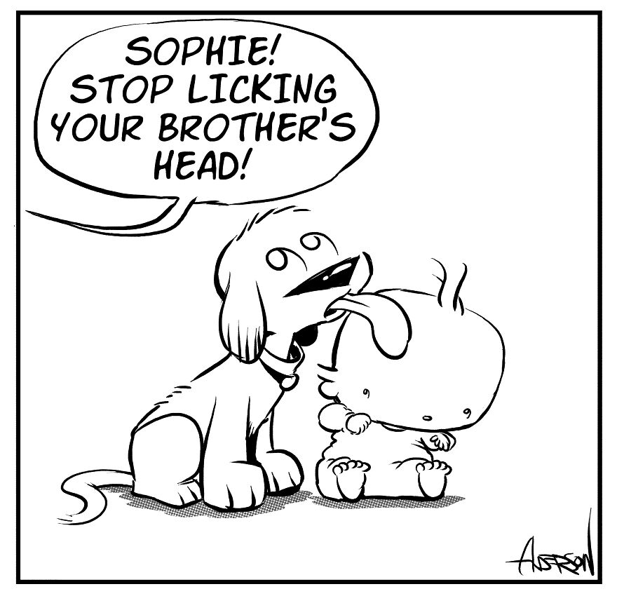 Dog Tongues Preventing Hair Loss Is Misinformation