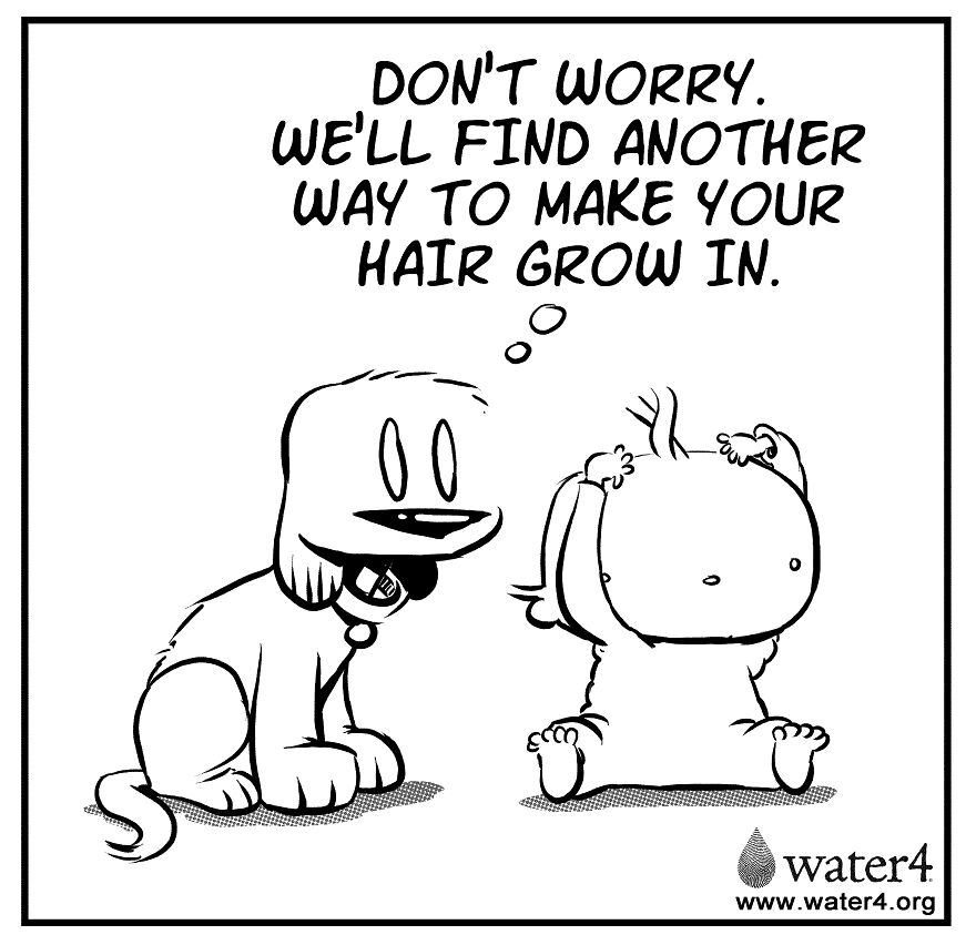 Dog Tongues Preventing Hair Loss Is Misinformation