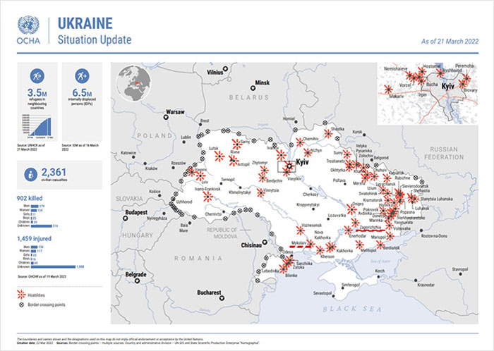 Un león y un lobo son transportados con grúa a una miniván conducida por 3 británicos para salvarlos