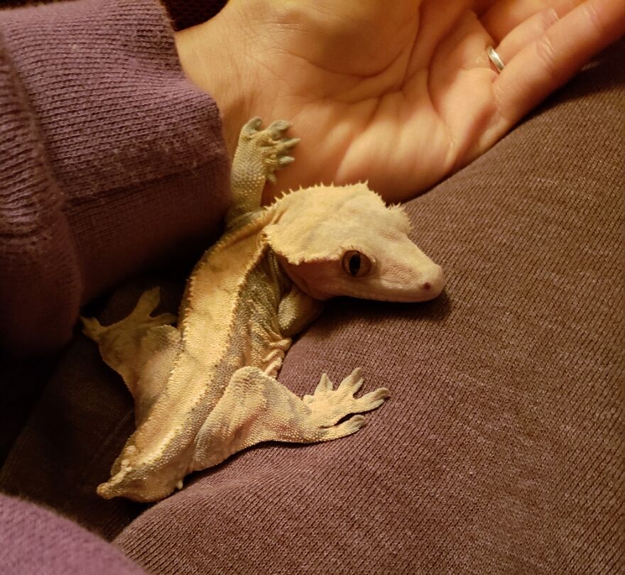 Charlie Used To Hold My Hand & Hangout For Hours. Now He's Too Cool For Me.