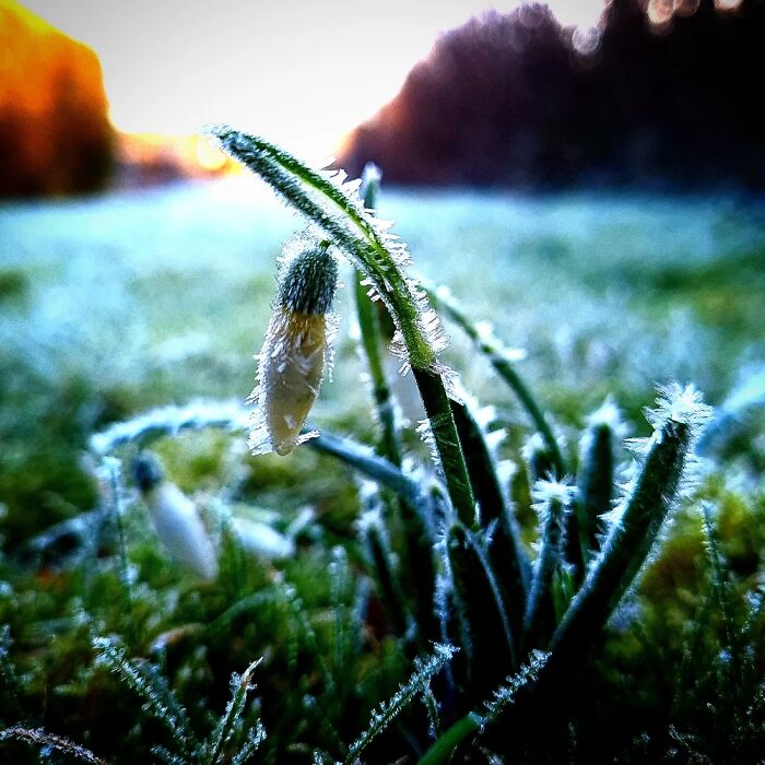 One Of My Favourite And Newest Pictures On My Ig