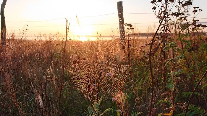 Sunrise...gülpe, Germany