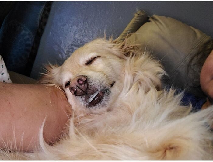 Asks To Cuddle Like This Several Times A Day