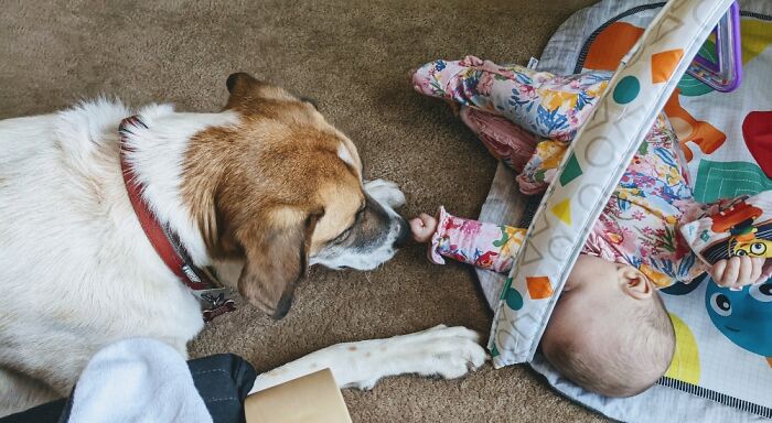 Nita's Favorite Thing In The World Is Her Little Sister.