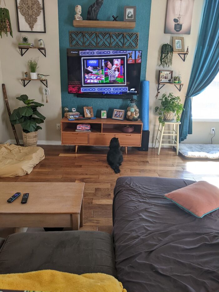 The TV Wall In Our Living Room.