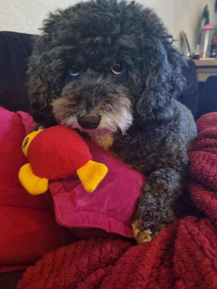 Do Not Touch The Fishy! It's Mine!