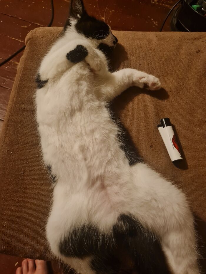 Murdocks Been Out Out