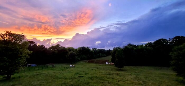 The Cathedral Ceiling