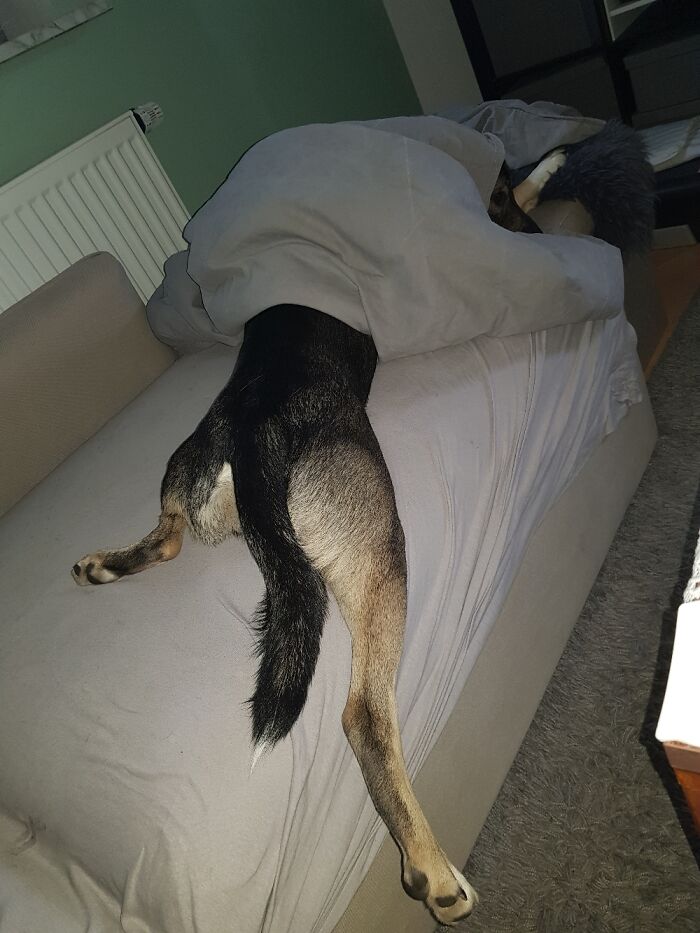 When Morning Comes Too Sooooon