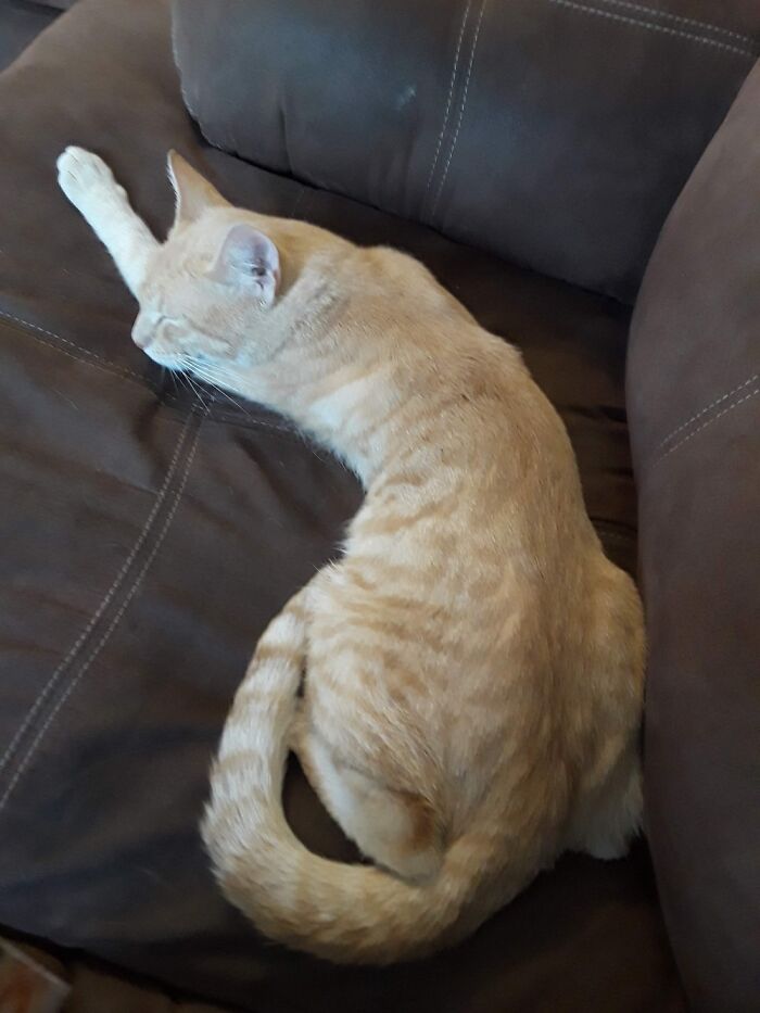 Jammie Doing His Impression Of A Yellow Squash.