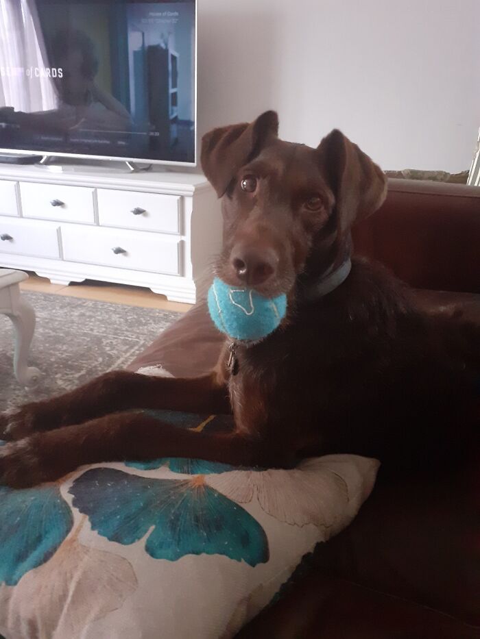 Douglas With The Holy Grail