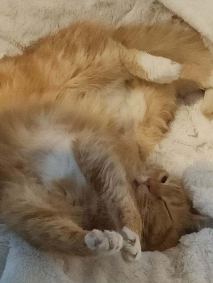 Esther Does Yoga While She Sleeps.