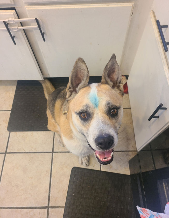 She Insisted On Helping Paint