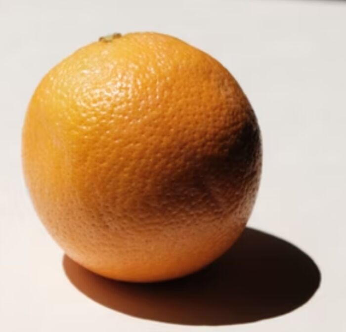 Cellulite Cream From Skinny Family-In-Law As A Christmas Gift