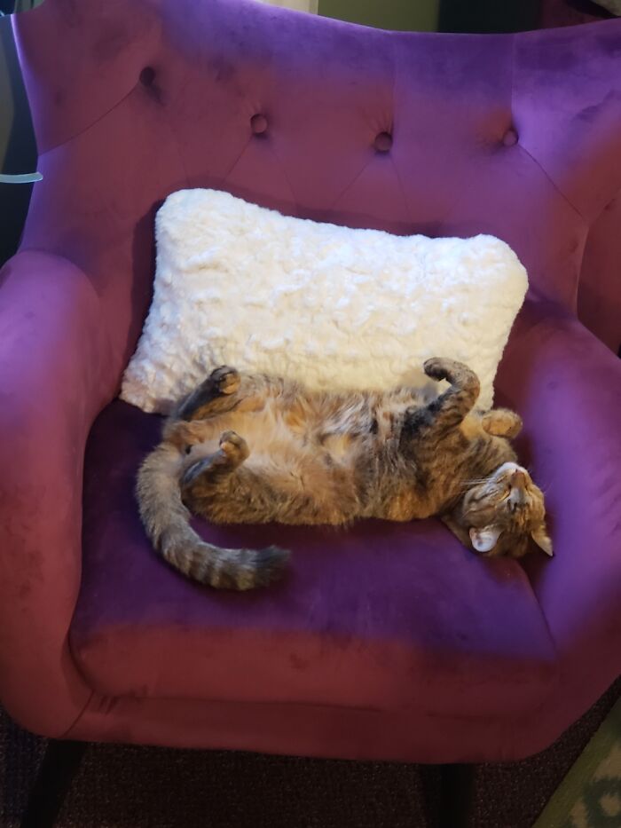 Cinnamon Toast Crunch At Her Yummiest!