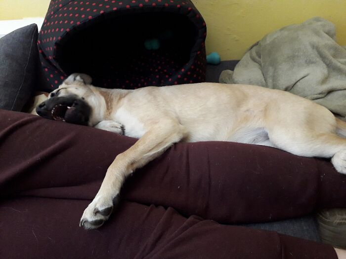 I Guess She's Screaming