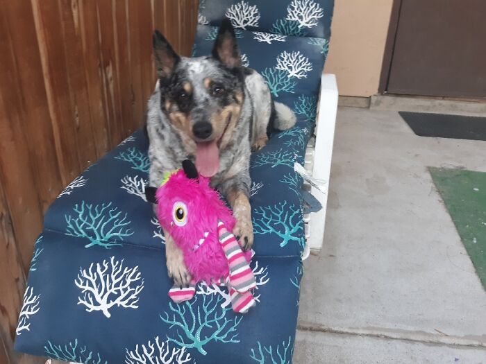 My Beautiful Jessie With Her Bff Monster!!