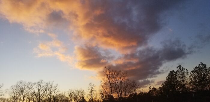 Winter Sunset On Solitudefarm