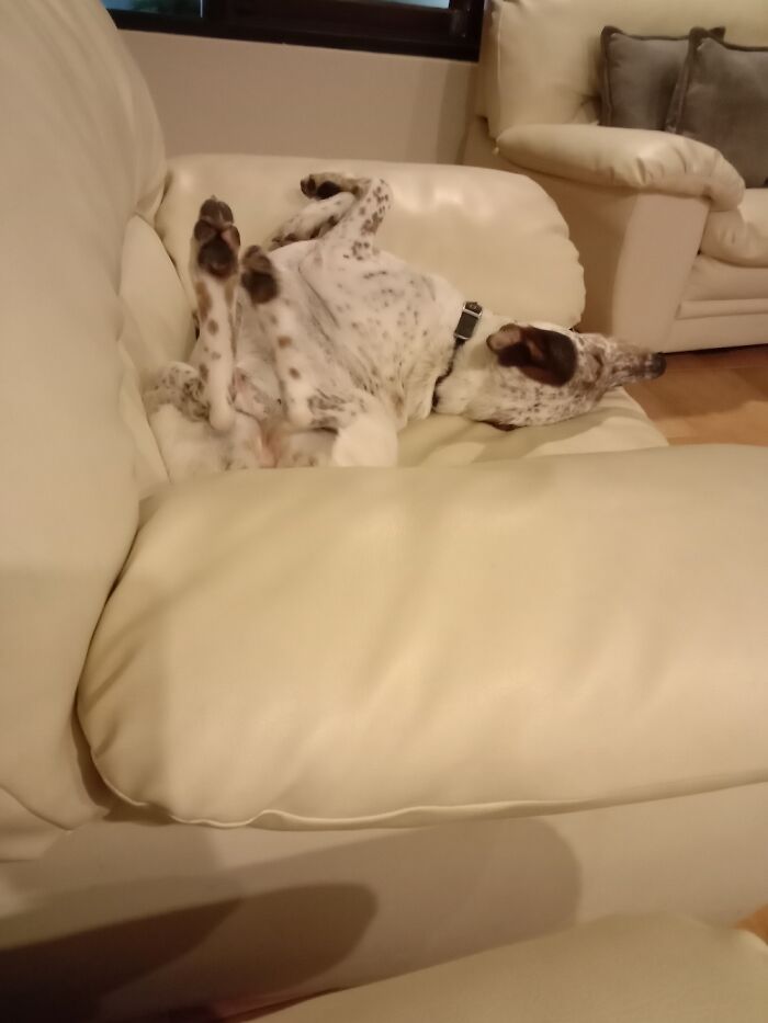 This Is How She Sleeps