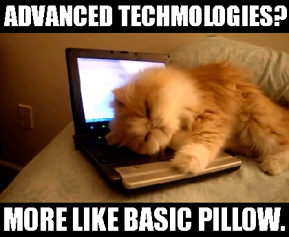 I Have Too Many Cat Memes So Here They Are :)