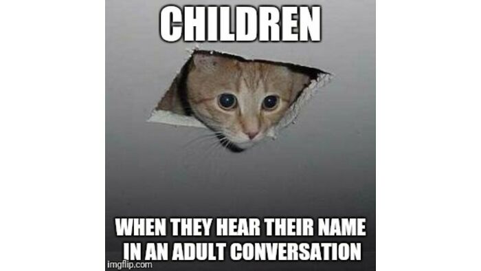 I Have Too Many Cat Memes So Here They Are :)