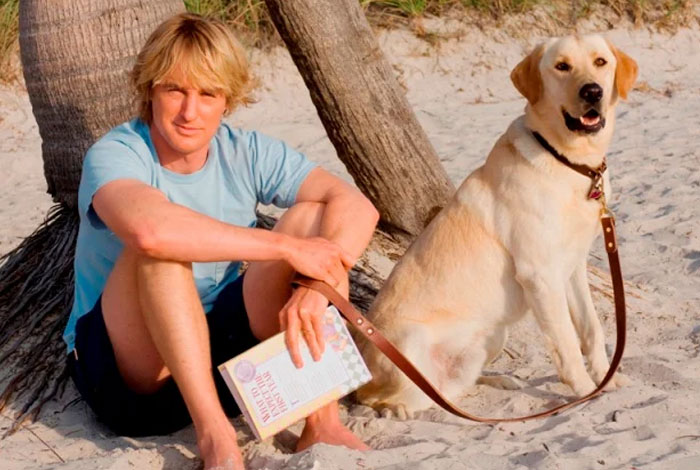 30 Movie And TV Characters That Crushed A Lot Of Hearts When They Passed Away