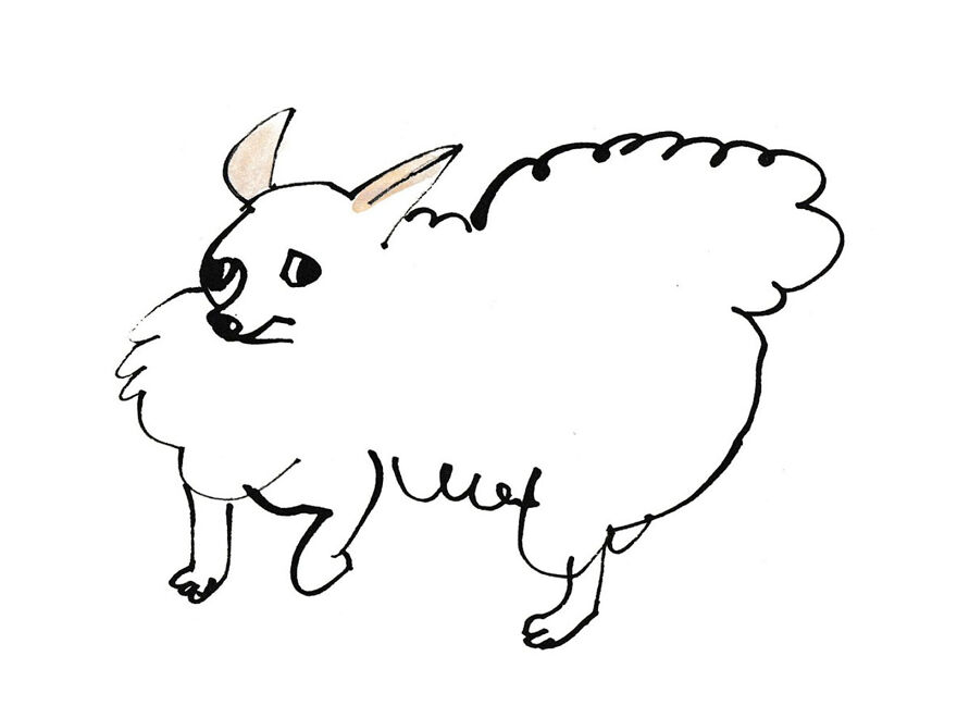 I Made These 7 Doggies To Just Enjoy While I Was Working Hard