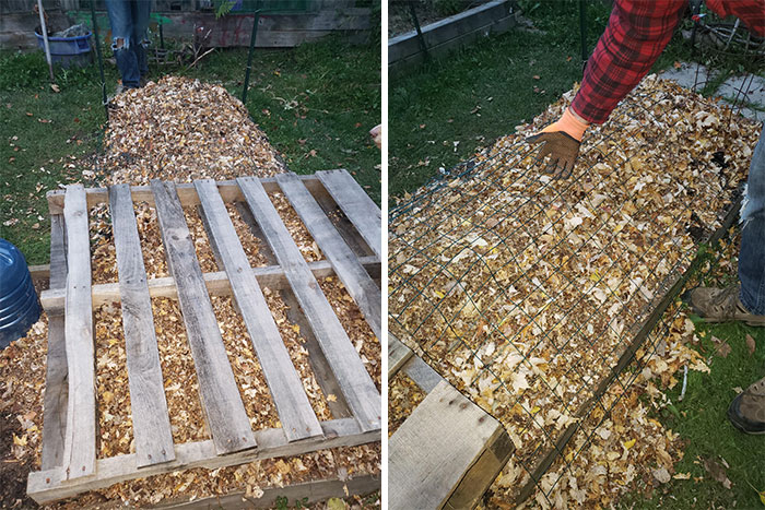 Prepping The Garden For Winter. We Pile Mulched Leaves, Add Mesh Or Whatever So The Leaves Don't Blow Off. Then Before The Snow Comes, We Cover With A Black Tarp. The Beds Warm Up Faster In The Spring And The Leaves Compost Down To Make Amazing Rich Soil For Planting