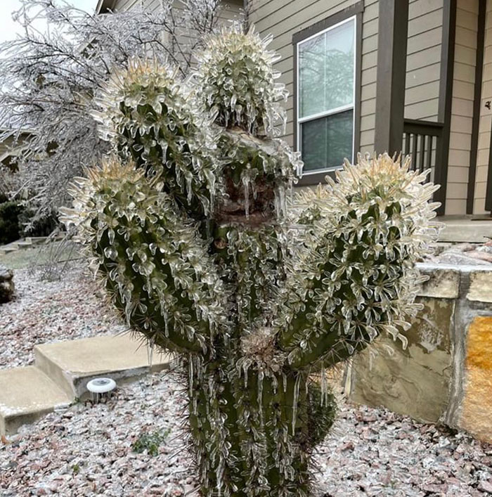 Ice Storm In Texas