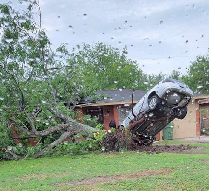 A Storm Knocked Over A Tree Whose Roots Lifted The Car Parked Next To It