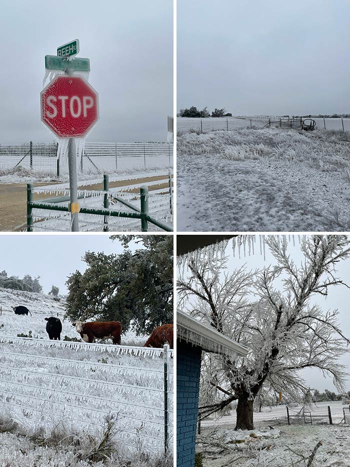 Snow Storm In Texas. Things Are Nuts In Fredericksburg