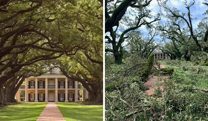 Oak Alley (Braithwaite Manor) After Hurricane Ida