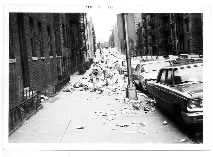 'Hoy aprendí': 30 nuevos datos que demuestran que nunca es tarde para aprender algo nuevo