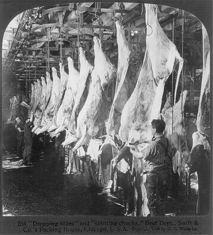 'Hoy aprendí': 30 nuevos datos que demuestran que nunca es tarde para aprender algo nuevo