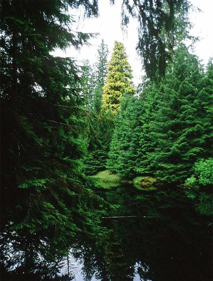 50 New ‘Today I Learned’ Facts That Prove It’s Never Too Late To Learn Something New