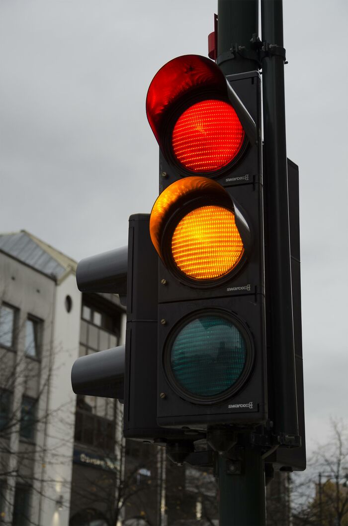 50 New ‘Today I Learned’ Facts That Prove It’s Never Too Late To Learn Something New