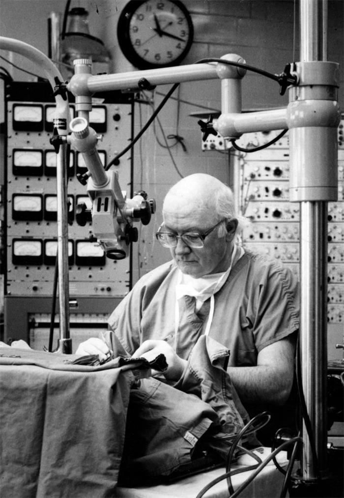 'Hoy aprendí': 30 nuevos datos que demuestran que nunca es tarde para aprender algo nuevo