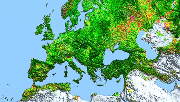 50 New ‘Today I Learned’ Facts That Prove It’s Never Too Late To Learn Something New