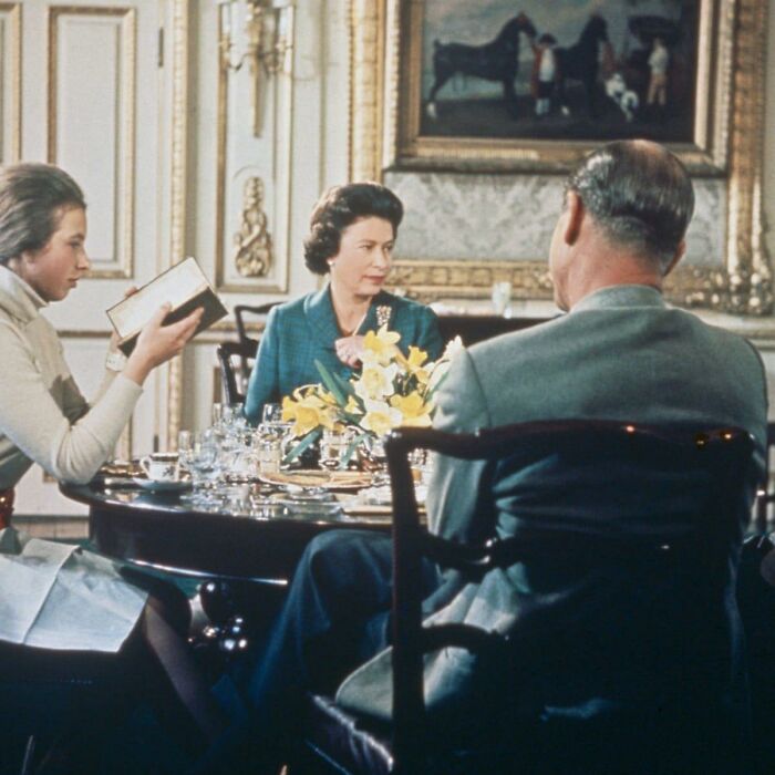 50 New ‘Today I Learned’ Facts That Prove It’s Never Too Late To Learn Something New