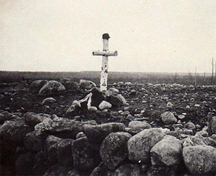 50 New ‘Today I Learned’ Facts That Prove It’s Never Too Late To Learn Something New